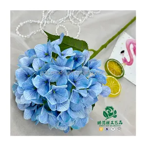 Zhen xin qi kerajinan grosir bunga kering sentuhan asli bunga Hortensia dengan batang untuk dekorasi pernikahan