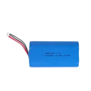 Lithium Ion Battery Rechargeable Li-ion Battery 18650 2P 4000mah 3.7v Silver ROHS Support More Than 500 Times 15g CSIP/OEM
