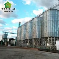 Silo à fond trémie en acier galvanisé de 50 à 2000 tonnes à déchargement automatique pour stockage de céréales pour moulin à aliments et ferme