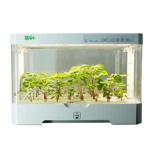 Skyplant LED 성장 빛 시스템 완전한 실내 식물 상자 성장 수경 시스템