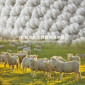 พรมขนสัตว์นิวซีแลนด์ สีพื้น รูปทรงสี่เหลี่ยมผืนผ้า สีครีม สำหรับห้องนั่งเล่น ตกแต่งบ้าน สไตล์มินิมอล หรูหรา - Product Image 3