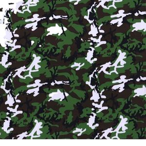 רוחב 0.5 מ 'קמו הידרו טבילה סרט הרים אופניים מים העברת מדבקת סרט הידרוגרפי עבור אופנוע - Product Image 5