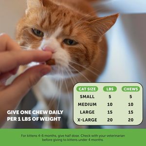 Suplementos de nutrición dental para mascotas en OEM/ODM con polvo de pollo y Romero para limpieza bucal como masticables rellenos para gatos - Product Image 2