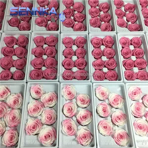 Yunnan grade A longue durée d'économie de vraies roses en gros préservé fleur de rose