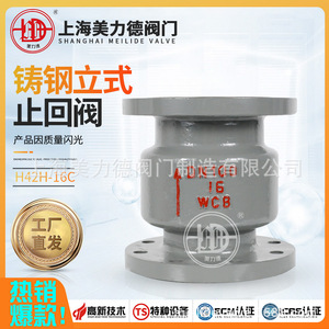 Válvula de Retención Vertical con Brida de Acero Fundido Meili H42H-16C DN100 WCB para Aplicaciones de Agua - Product Image 5