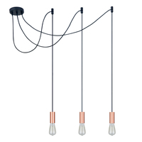 Lustre suspendu vintage industriel DIY, luminaire de luxe pour hall d'entrée, avec ampoule, long et élégant