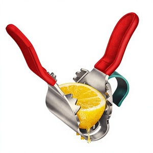 Lemon Wedge Squeezers , WEDGE SQUEEZER FOR LEMONS AND LIMES - STAINLESS STEEL - Product Image 1