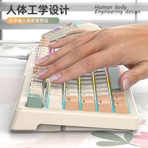 Shiny Fox K600 Wired Keyboard Mouse Set 87 Keys Rainbow Backlight Tri Color <b>Keycaps</b> Office Business Use - Product Image 3