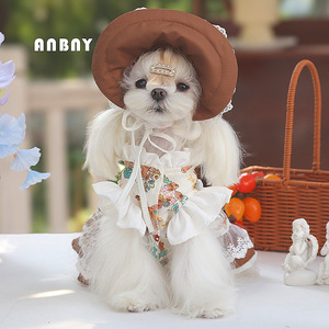Anbny – robe de princesse pour animaux de compagnie, chapeau marron, jupe crème pour petits chiens, vêtements décoratifs quatre saisons - Product Image 1