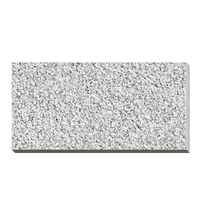 Carrelage en pierre naturelle de granit de haute qualité 600*600, pavés extérieurs, carreaux muraux, carreaux d'extérieur, sol pour piscine, trottoir