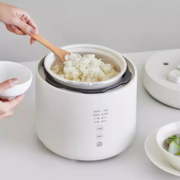 Vente flash : Mini-cuiseurs à pression de 2,5 L, cuiseurs à pression électriques pour la maison, cuiseurs à riz multifonctionnels à haute pression