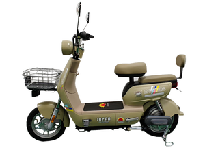 Triciclo de Tres Ruedas para Adultos Mayores, Triciclo Utilitario Estable de Carga, Venta Caliente, Fábrica China, Bicicleta Eléctrica - Product Image 3