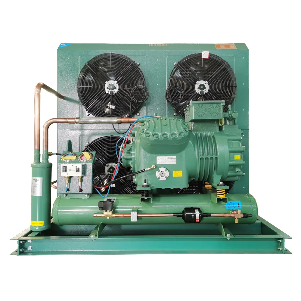Compressore di alta qualità unità di condensazione fornito compressore raffreddato ad aria