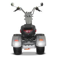 Yeni 3 Tekerlekli Elektrikli Scooter 2000w 60AH 12AH/20AH/2X20AH Bataryalı Açık Gövdeli Elektrikli Chopper Citycoco Hızlı 60km Menzilli