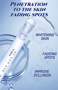 Crème en Gros Correctrice Éclaircissante aux Épices de Spongilla et Bio-Microneedling pour le Visage – Élimine les Taches Noires et Foncées - Product Image 6