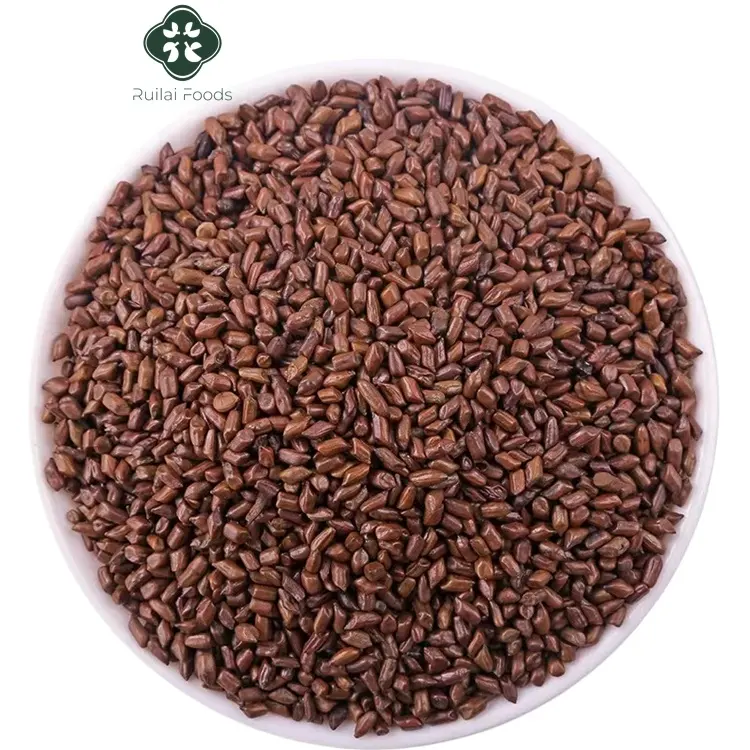 jue ming zi healthy care semen cassiae tea natural raw material Dried cassia seed tea