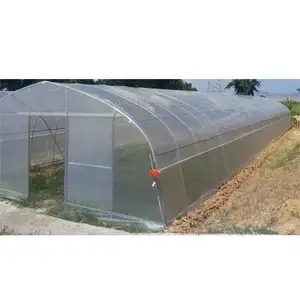 Aardbei Druif Framboos Met Verticale Landbouw Aquaponics Kweeksystemen Plastic Kas