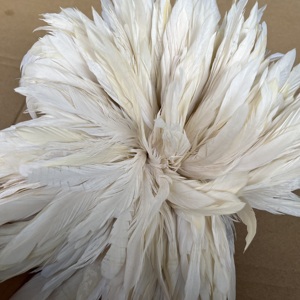<span class=keywords><strong>Gallo</strong></span> <span class=keywords><strong>blanco</strong></span> blanqueado schlappen pluma ensartada para atar moscas pesca - Product Image 4
