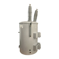 Transformadores de Media Tensión y Alta Tensión Sumergidos en Aceite, Monofásicos, Salida de 600v, Frecuencia de 50Hz y 60Hz, con Certificación CE, Gran Oferta