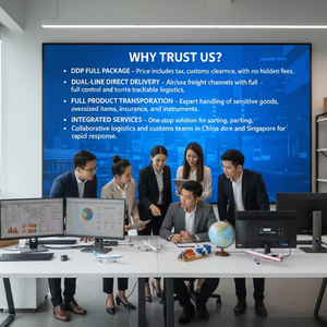 Spedizione aerea rapida in 2 giorni a Singapore |   Fornitore e Grossista B2B Affidabile - Product Image 5