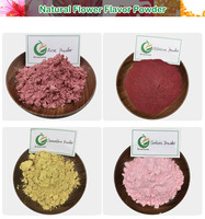 Poudre de pétales de rose 100 % naturelle, extrait de rose, marque privée