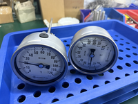 Bimetallic Thermometer Liquid-Filled Stainless Steel Adjustable Temperature Gauge Industrial Use Customized ODM