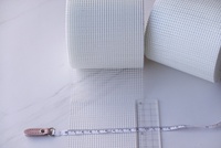 Rouleau de ruban adhésif en fibre de verre platine résistant aux alcalis 70G, blanc 9*9, directement du fabricant, haute adhérence, protection des murs secs