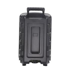 Altavoz Bluetooth Portátil Mini de 8 Pulgadas, con Luz Ambiental, para Uso en Interiores o Exteriores, Karaoke, NDR-P44 - Product Image 5