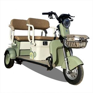 Triciclo Fácil de Operar de 20 Ah para Adultos, Trimotor - Product Image 1