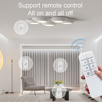 Ewelink Smart Wifi Switch Télécommande sans fil sans câblage pour la maison Android App Timing Modification de la télécommande