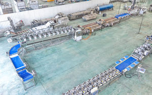 Machines de traitement du chou : <span class=keywords><strong>Coupe</strong></span>-chou à taille réglable, Ligne de lavage et d'épluchage du chou - Product Image 4