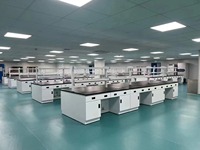 Mobilier scolaire personnalisé d'usine Tables de laboratoire Table de banc de laboratoire en résine époxy Table de laboratoire de biologie et de chimie