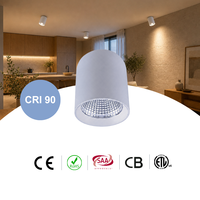 Plafonniers encastrés LED COB en aluminium noir et blanc réglables et inclinables RONSE pour supermarchés