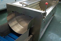 Machine automatique de nettoyage, lavage et pelage de légumes (cassave, pommes de terre, carottes, gingembre) avec fonction de polissage des impuretés