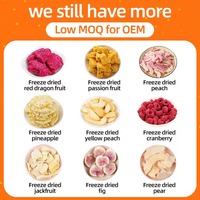 Groothandel Hoge Kwaliteit Gedroogde Vacuümverpakte Gemengde Fruitschijfjes Bulk Export Geassorteerde Tropische Snack Zoete OEM Verpakking