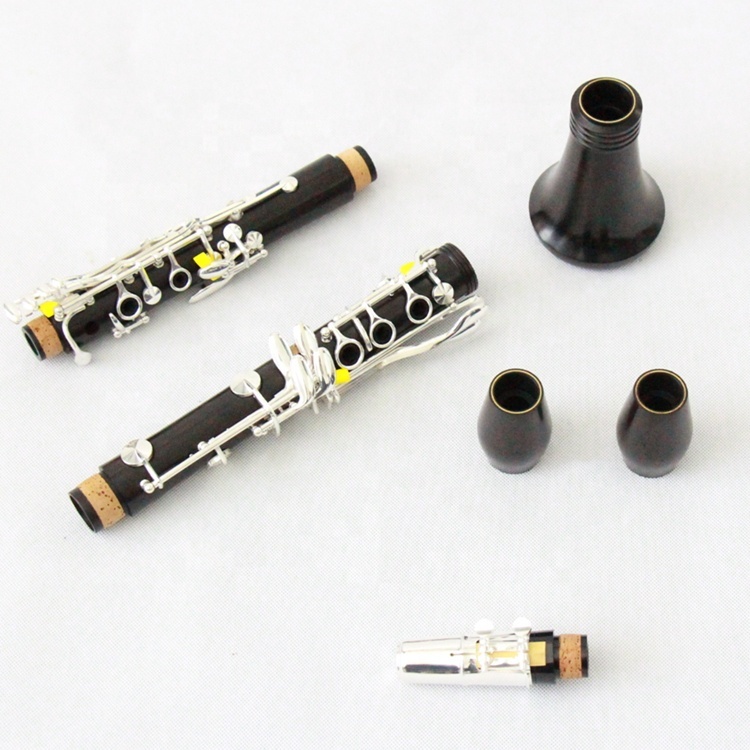 B 【塩水】 フラットプラスチックボディ 17 🍀 白銅キープロフェッショナルクラリネット楽器