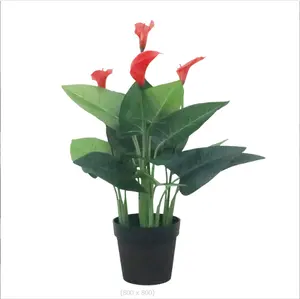 Fabrika kaynağı yapay doğal Bonsai ortak Artificial lily dekorasyon için yapay yeşil bitki ağacı saksı için iyi fiyat