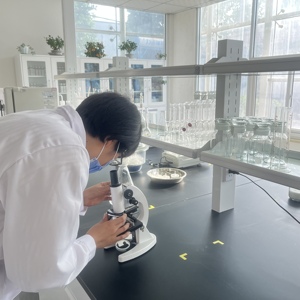 60A chất hấp phụ <span class=keywords><strong>silica</strong></span> <span class=keywords><strong>gel</strong></span> cho sắc ký cột cho phụ gia dầu mỏ <span class=keywords><strong>silica</strong></span> <span class=keywords><strong>gel</strong></span> phụ - Product Image 2