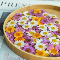 Kristal Krisan Risen DIY Akrilik Lucite Bunga Daisy Kecil Asli Gaya Hutan Peri Super Perhiasan Mata Domba Grosir