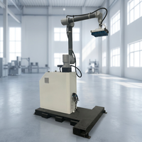 Bras robotisé de palettisation automatique, robot collaboratif 6 axes, 20 kg, 30 kg, machines de palettisation Cobot pour cartons et sacs