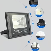 Projecteur solaire extérieur étanche IP67 60W 80W 150W 300W 500W 600W 800W Réflecteur solaire Éclairage de jardin
