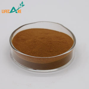 Lifecare Supply Chaga Pilz 10:1 Pulver Chaga Pilzex trakt - Product Image 3