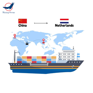 China Servicios de logística mundial Países Bajos Transporte marítimo y aéreo Agente de envío DDP A LA UE Italia Suecia - Product Image 1