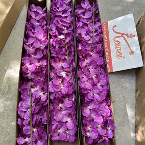 KEWEI 172 Orquídeas Artificiales Púrpura Oscuro Orquídea <span class=keywords><strong>Vanda</strong></span> Phalaenopsis Real Touch Látex Orquídeas Naturales - Product Image 5