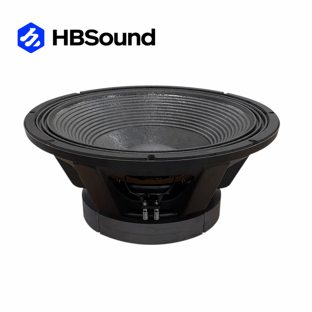 High Performance Powerful 21 Inch Professional Speaker Subwoofer  for Stage Outdoor Use