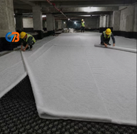 Filet de drainage géocomposite 3D en HDPE, couche composite de drainage géonetto pour la collecte des eaux de récupération des décharges, le sous-sol routier et les tunnels
