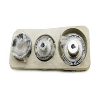 Systèmes de Commande PLC, Réducteur de Vitesse FR-20-50-2-GR-WBRSP *Neuf Sans Boîte* Vente en Gros