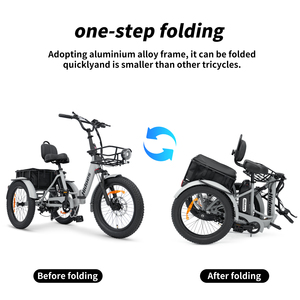 Triciclo da Carico Elettrico di Alta Qualità 2025 Hidoes T2 250w 750w con Batteria al Litio Bici Elettrica Pieghevole Fat Bike Risciò Elettrico - Product Image 2