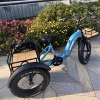 Tricycle électrique à trois roues de 20 pouces à pneus larges, très populaire, pour adultes, avec panier de transport