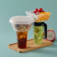 Set Gourde Isotherme Portable 5 en 1 pour Fruits, Snacks et Boissons avec Couvercle, Pailles et Fourchettes, Bols à Emporter en Plastique 500 ml